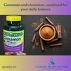 Spring Valley Cinnamon Capsules- 500mg Plus Chromium 180ct (Pack of