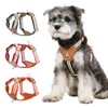 Paipeper Dog Harness, Small Dog Harness, Medium Size Dog Harness,