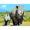 Animal Planet AP13791 Rhinocers 63 Pieces Rhinoceros 3D Effect Jigsaw