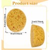 2 Pcs Sponge for Painting, Knockdown Texture Sponge Large Size,