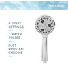 Aqua Vista 4.5-in. Polished Handheld Shower Head with 6 Spray