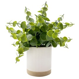 Coferset Small Fake Plants Eucalyptus Ceramic Potted Artificial Plants for Shelf Desk Home Bathroom Farmhouse Room Coffee Table Decor (Green)