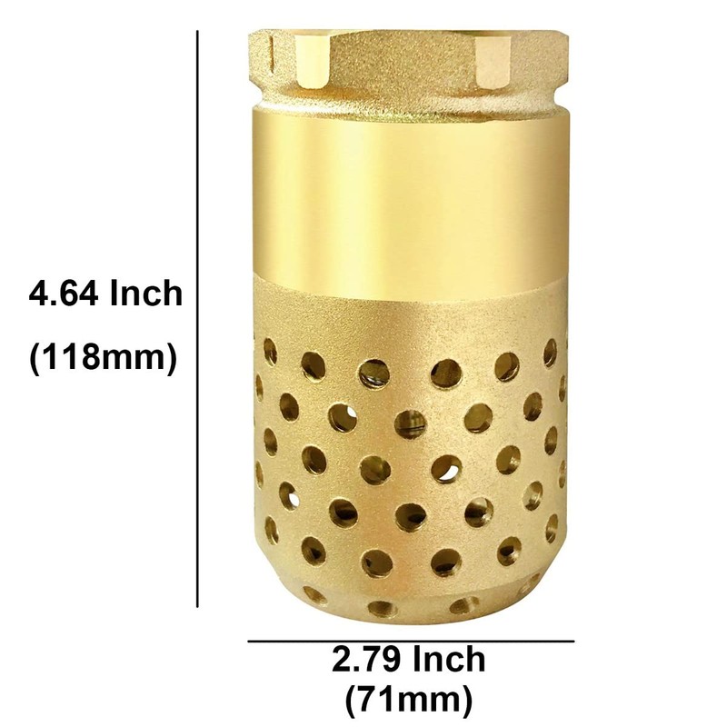 Brass Foot Valve, 2 inch NPT Spring Mesh Check Valve