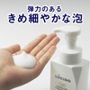 Lucido Q10 Total Care Foaming Face Wash Refill, 4.6 fl