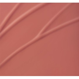 3CE Blur Water Tint  - #DEAR MARCH