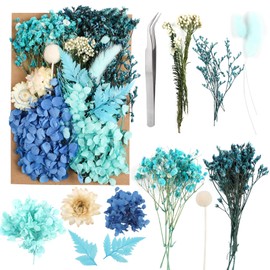 JOFONY Dried Flowers,Dried Flowers Set for DIY Scrapbook Accessories Flower Arrangements Flower Decoration Wedding Decoration(Blue)