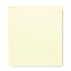 Ehime Shikishi N-ES-T4S Torinoko 9.5 x 10.7 inches (242 x