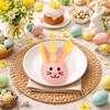 Teecyhooo 160 Pcs Pastel Plastic Silverware Rabbit Party Supplies Plastic
