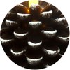 Pavilion Gift Company Brown 5 Inch Pinecone LED-Lit Battery Operated