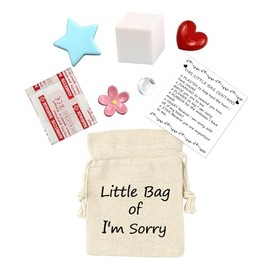Excuse Gift for Him or Her I'm sorry Please Forgive Gift (Sorry Little Bay)