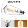 Qualilux Dusk to Dawn Edison LED Light Bulbs ST19, 3000K