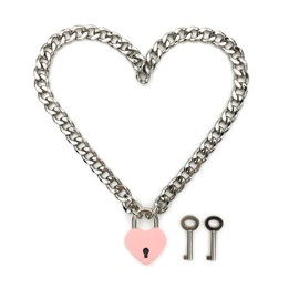 Succuba Padlock Necklace Chain Collar Choker with Two Keys and Box for Women, Men and Pet (G, 16)