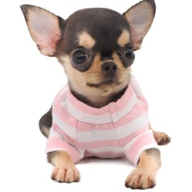 LOPHIPETS 100% Breathable Cotton Striped Dog Tee Shirt T-Shirt for Small Dogs Teacup Chihuahua Yorkie Puppy Clothes -Pink and White Strips/XXS
