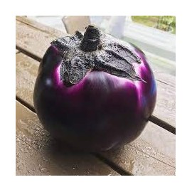 Barbarella Eggplant Seeds for Planting, 20+ Seeds Per Packet, (Isla's Garden Seeds), Non GMO & Heirloom Seeds, Botanical Name: Solanum melongena, Packaged for 2024 Growing Season