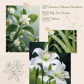 GAGINGOOLD Reed Diffuser Set, 6 fl oz Jasmine Lily Scent Diffuser with Sticks, Reed Diffusers for Home Office Decor, Home Fragrance Gift for Men & Women