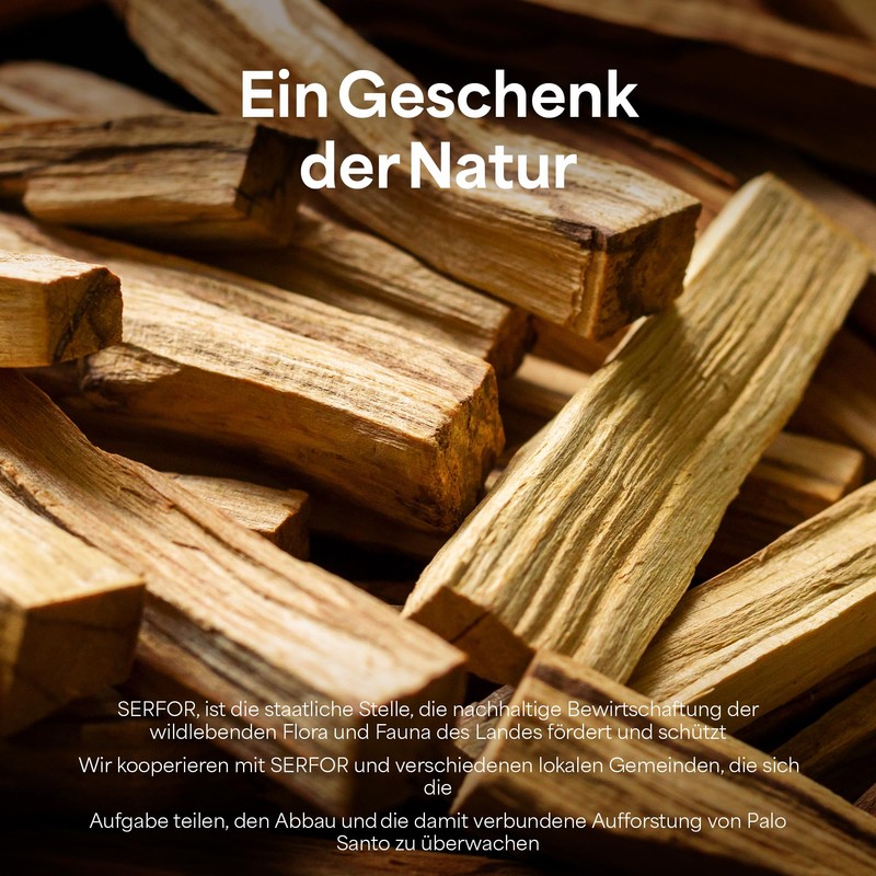 Palo Santo Holy Wood (Large Pieces) for Spiritual Cleansing (100g)
