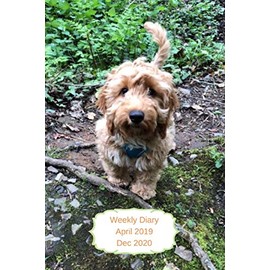 Weekly Diary April 2019-Dec 2020: 6x9 week to a page planner with notes & to do list each week. Extra notes pages included. Perfect for self-employed, ... planner. Cockerpoo with orange back cover