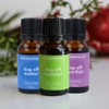 Biome Bug Off Essential Oils Bundle