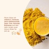 Immune Elixir | Phyto Powder | Vitamin C from Acerola,