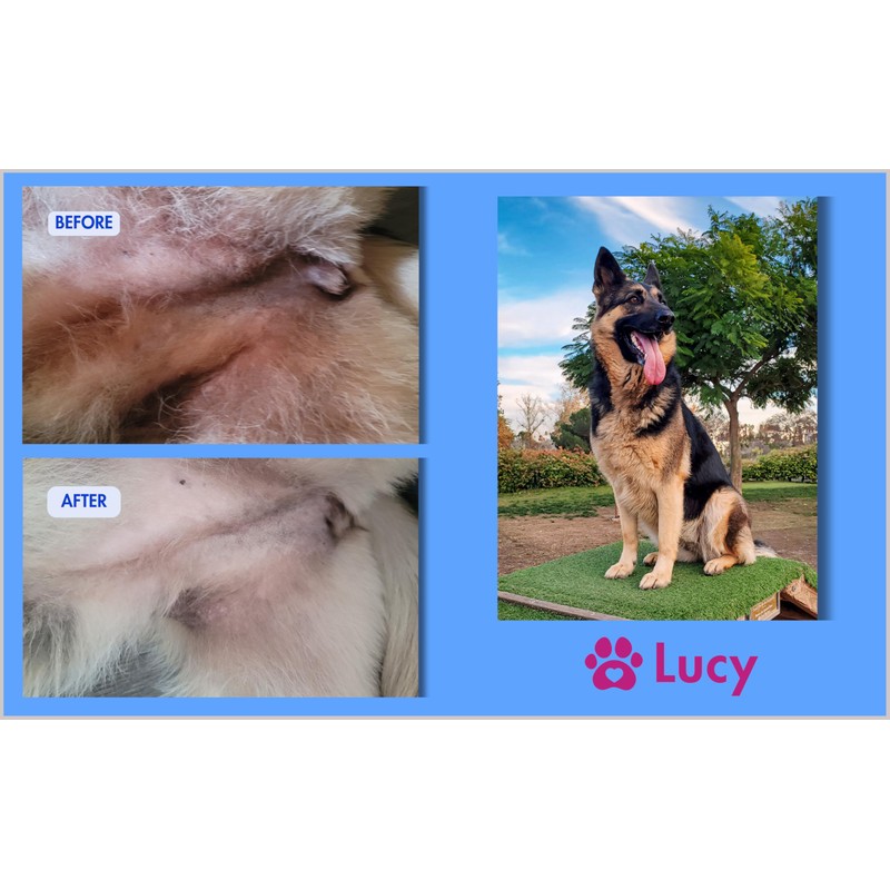 Lucy's Pet Skin Irritation Relief Shampoo - Soothes Rashes, Hot