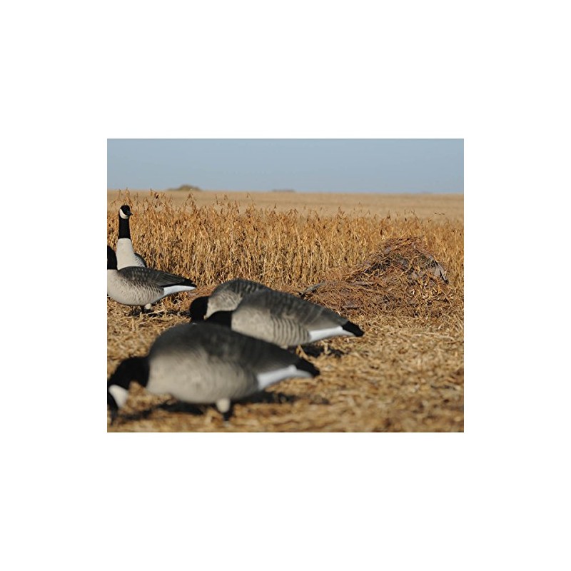 Avery Killerweed Singles | Natural Palm Fiber Concealment Kit for