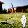 ZTGJMN 15 Watts C7 Replacement Light Bulbs for Scentsy Plug-in