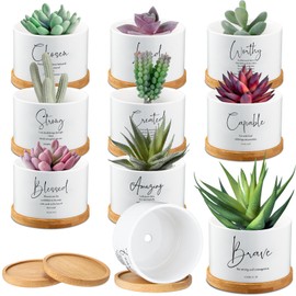 Sieral 10 Pcs Bible Verse Succulent Mini Planters, Bamboo Trays,Fresh