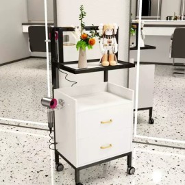 A 가위정리대 시술 미용 트레이 가구 정리대 커트 시술 [Q. 그레이 골드 프레임 캐비닛] Scissor Organizer Treatment Beauty Tray Furniture Organizer Cut Treatment [Q. Gray Gold Frame Cabinet]