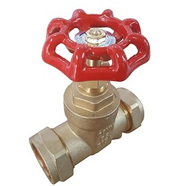 Primaflow 10020166 28mm Gate Valve
