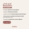 Glutamina Zinc L-carnosina Sin Sabor - 30 Sobres