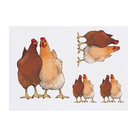4 x 'Pair Of Chickens' Temporary Tattoos - Water Resistant, Skin-Safe, Non-Toxic Transfers, Mixed Sizes (TO00066536)
