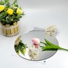 DARENYI 12 inch Glass Round Mirror with Adhesive Tapes, Frameless