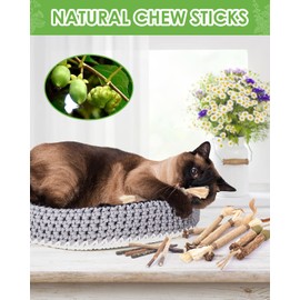 TINDTOP Catnip Chew Toys for Cats, 12 Pack Natural Silvervine Sticks for Kittens Teeth Cleaning, Matatabi Dental Care, Increase Appetite, Calm Cat Anxiety and Stress, Aggressive Chewers Cat Dental Toy