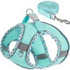 Dog Harness and Leash Set,Step-in Air Dog Vest, Reflective, No