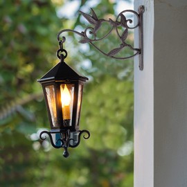 SEISSO 2 Pack Hanging Plant Bracket, Iron Hummingbird Plant Hanger Decor, Vintage Heavy Duty Plant Hanger Hook for Flower Basket, Bird Feeder, Wind Chime, Lanterns