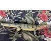 Monitor Lizard Replica - Green - Realistic PVC AAA
