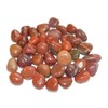 Red Jasper Small Various Crystal Polished Tumblestone Gemstone Tumbled Stone