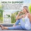 Organic Pine Needle Tea Bags - 100% Pure Natural Dried