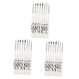 Ipetboom 24pcs Nail Art Brush Pens Kit Gel Nail Brush Art Tips Builder Unique Zebra Pattern for Diy Salon Use