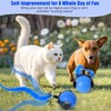 Interactive Cat Ball Toy, Automatic Moving Ball for Dog Toy,
