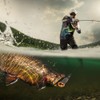 Water Surface Artificial Simulation Duck Fishing Lure Topwater Bait With