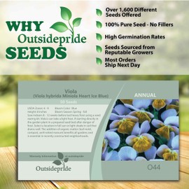Outsidepride 100 Seeds Annual Viola Miniola Heart Ice Blue Flower Seeds for Planting