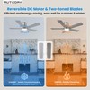 Autoday 42 Inch Low Profile Ceiling Fan with Light, Burshed