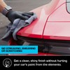 Ethos Defy - 3 in 1 Ceramic Coating - Waterless