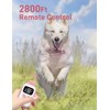 No Shock Dog Training Collar, Beep and Vibrating Dog Collar