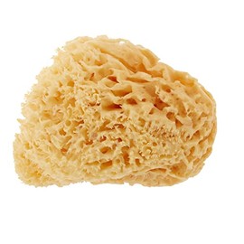 Natural Sea Cotton Honeycomb Seeds Body Sponge Made by Italy Bellini Company 14cm ~ 16cm Italian Bellini Company Natural Sea Cotton Top Grade Silk Seeds Sponge Atopy Dry Skin Acne Back Acne Baby Children Face Wash Mediterranean Sensitive Skin