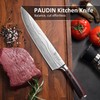 PAUDIN Chef Knife, 10 Inch Meat Knife, Ultra Sharp Brisket