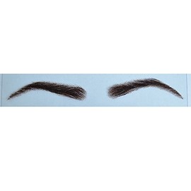 AIRAO Swiss Lace Base Human Hair Eyebrows 1 Pair Style 5#2(Darkest Brown)