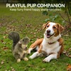 ALL FOR PAWS Interactive Dog Squirrel Plush Squeaky Toy -