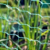 Bird Netting Garden Mesh for Strawberry Fruit Protection Raised Beds